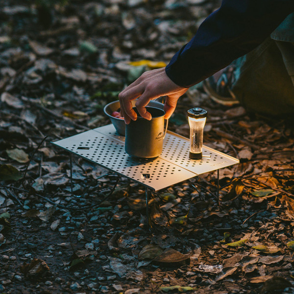 Складаний стіл Naturehike CNK2450JJ024, 31х21 см, алюміній