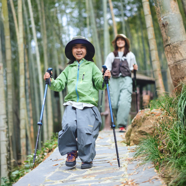 Трекінгова палиця 3-сек. Naturehike CNK2550DS010, 55-120 см, алюміній, зелена